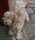 Não Sei