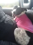 Princesa