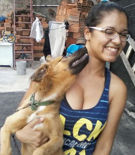 Cachorro ra a SRD idade 7 a 11 meses nome Peludinho