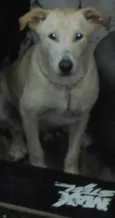 tobby
