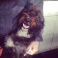 Peludinha