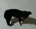 Chiquita 