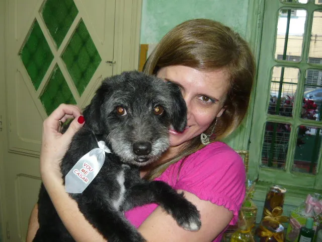 Cachorro ra a SRD idade 5 anos nome Nino