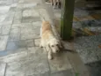 Fiona