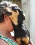 Janjão