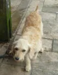 Fiona