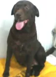 Princesa