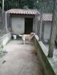 Marley