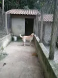 Marley