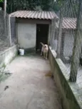 Marley