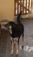 Bob