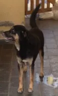 Bob