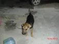 NICK
