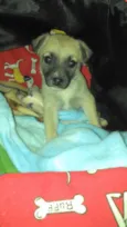 Jack