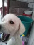 Não sei