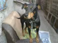 Fiona