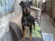 Fiona