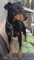 Fiona