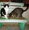 Marrie e penélope