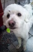 Não sei