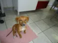 Sem nome