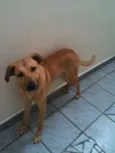 ZECA
