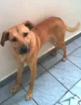ZECA