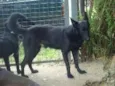 Billy