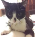 Teteca