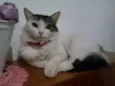 Kiara