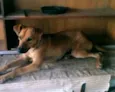 QUEITY