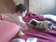 KIKA