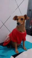Neguinha