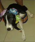 Lindinha