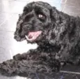 Mel