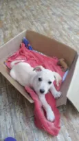 Marley GRATIFICA