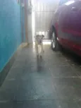 Billy