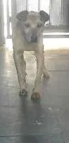 Billy