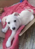 Marley GRATIFICA