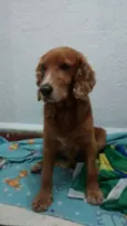 Boby
