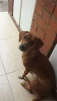 MATILDA GRATIFICA