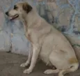 da rua
