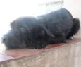 Luar