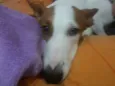 não sei