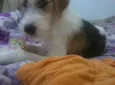 não sei
