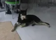 Não sabemos