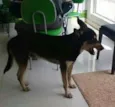 Não sabemos