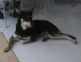 Não sabemos