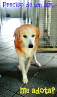 Bingo