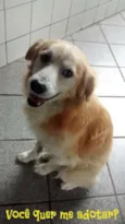 Bingo